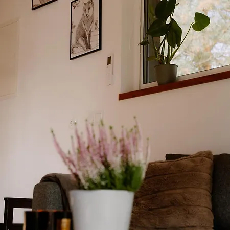 Feriehus Osada Pod Gwiazdami & Lasko