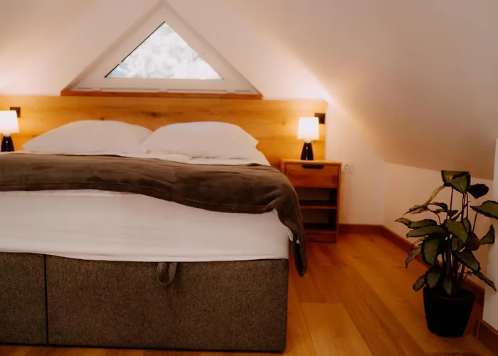 Osada Pod Gwiazdami & Lasko