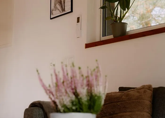 度假居 Osada Pod Gwiazdami & Lasko